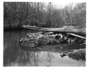 Eno River, at Fews Ford