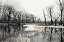 Dyke Marsh