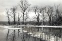Dyke Marsh