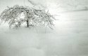 SNOW 2014!