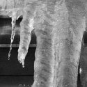 Ice Stalactites with cool pattern