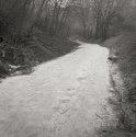 White Path