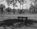 Bench in shade
