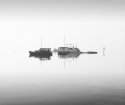 Early morning fog