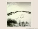 Sand dunes in Normandy