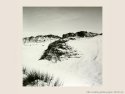 Sand dunes in Normandy
