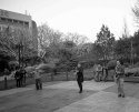 Dancing in the Park