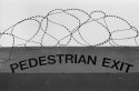Belast - Peace Line Detail