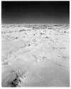 Sea Ice, Antarctica
