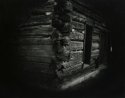 Tool Shed - Lambs