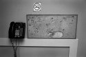 Phone Board