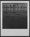 San Diego Night Skyline
