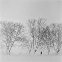 Winter walk