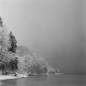Winter by the coast