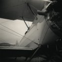 'Wings 1'
