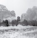 Totem in the Garden of the Gods