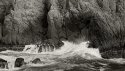 Point Lobos