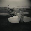 'Wings 2'