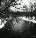 Winter Stream