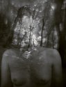 mystery woods....