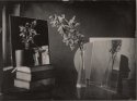 Orchid and mirrors