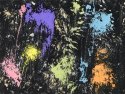 Emulsion Etchings