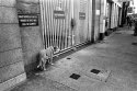 Solitary