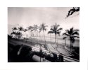 Overlooking the Malecon