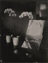 Orchid And Mirros II