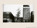L'institution de l'immortalite