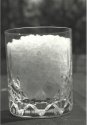 Salt-2 MSA