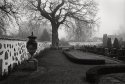 Village Cemetery