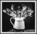 Easter Tulips 2014
