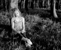 bluebell wood