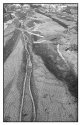 Fishing nets