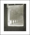 Tabby Cabin and Rain