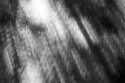light rain