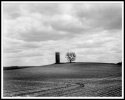 Silo & Tree