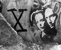 Graffiti - Albany Bulb, California