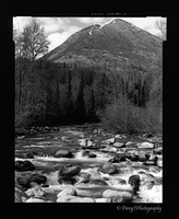 Spring on the Little-Su