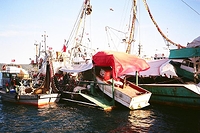 Istanbul - Bosphorus