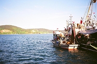 Istanbul - Bosphorus