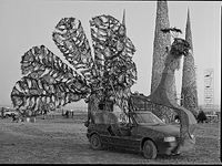 Mutant Peacock Vehicle