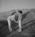Hermanitas