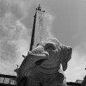 Liophant