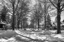 Minnesota Winter