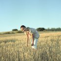 Lucía in the wheat field