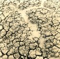 Desert Cracks