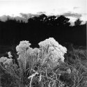 Hovenweep #2