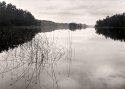 The calm